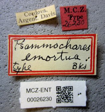 Media type: image;   Entomology 26230 Aspect: labels